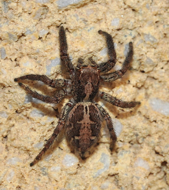 corto hembra besando cerca de Almería corto hembra besando cerca de Almería